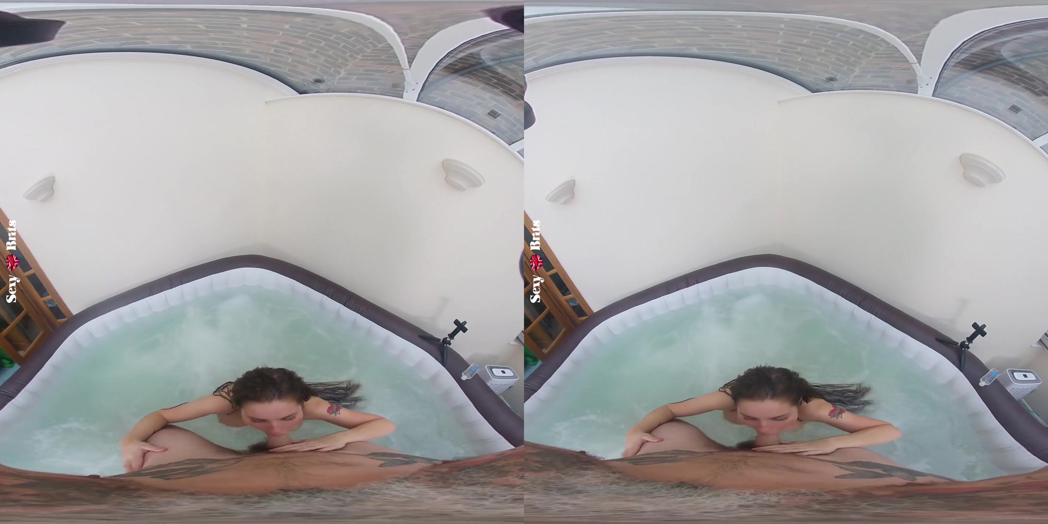 How to Bathe Your Aussie I
