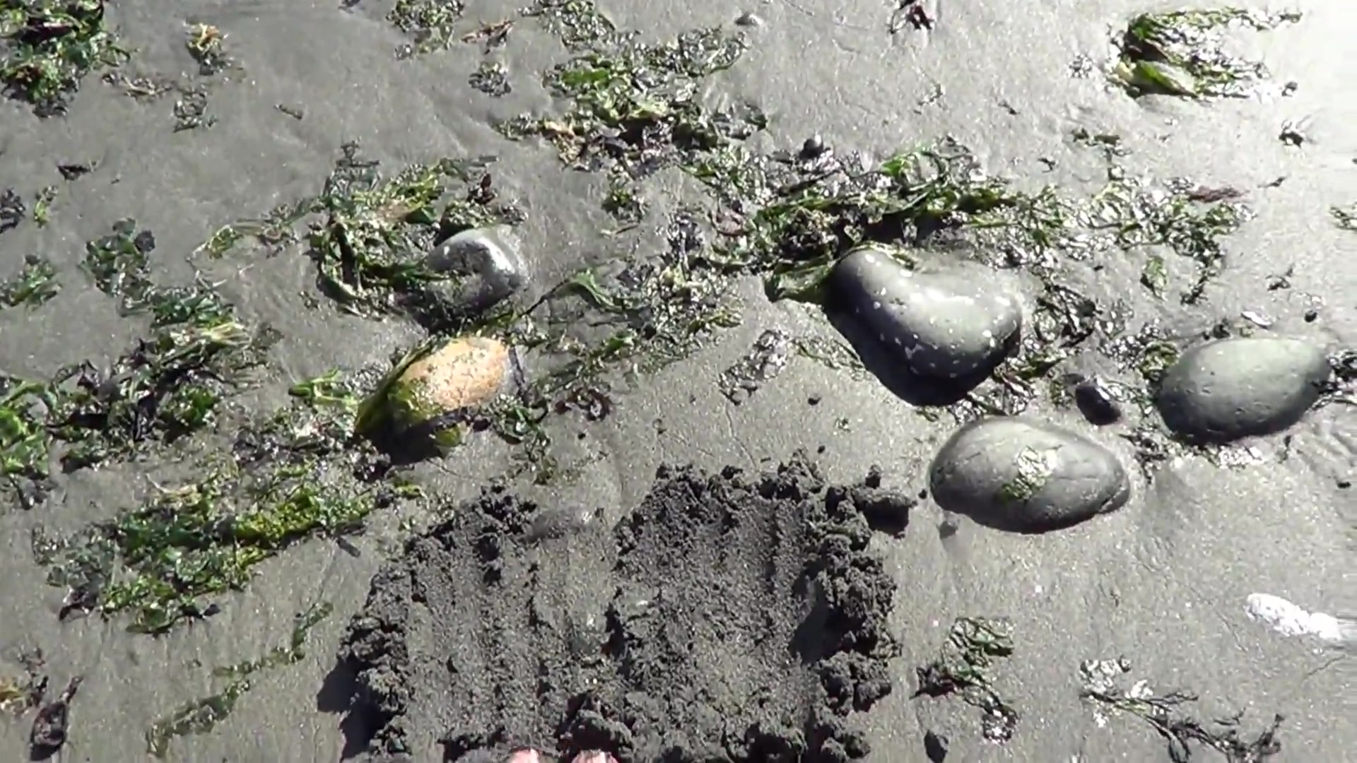 Dirty Sandy Beech Feet - TacAmateurs