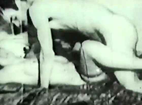 Retro Porn Archive Video: Golden Age Erotica 02 01