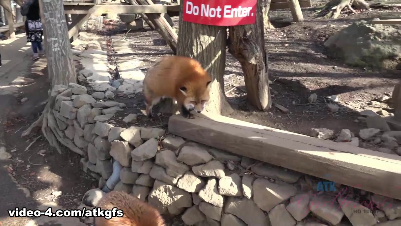Gia Paige in You And Gia Enjoy A Wildlife Sanctuary In The Country - ATKGirlfriends