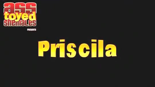 TS Priscila Gaucha Pets her ramrod pooper A