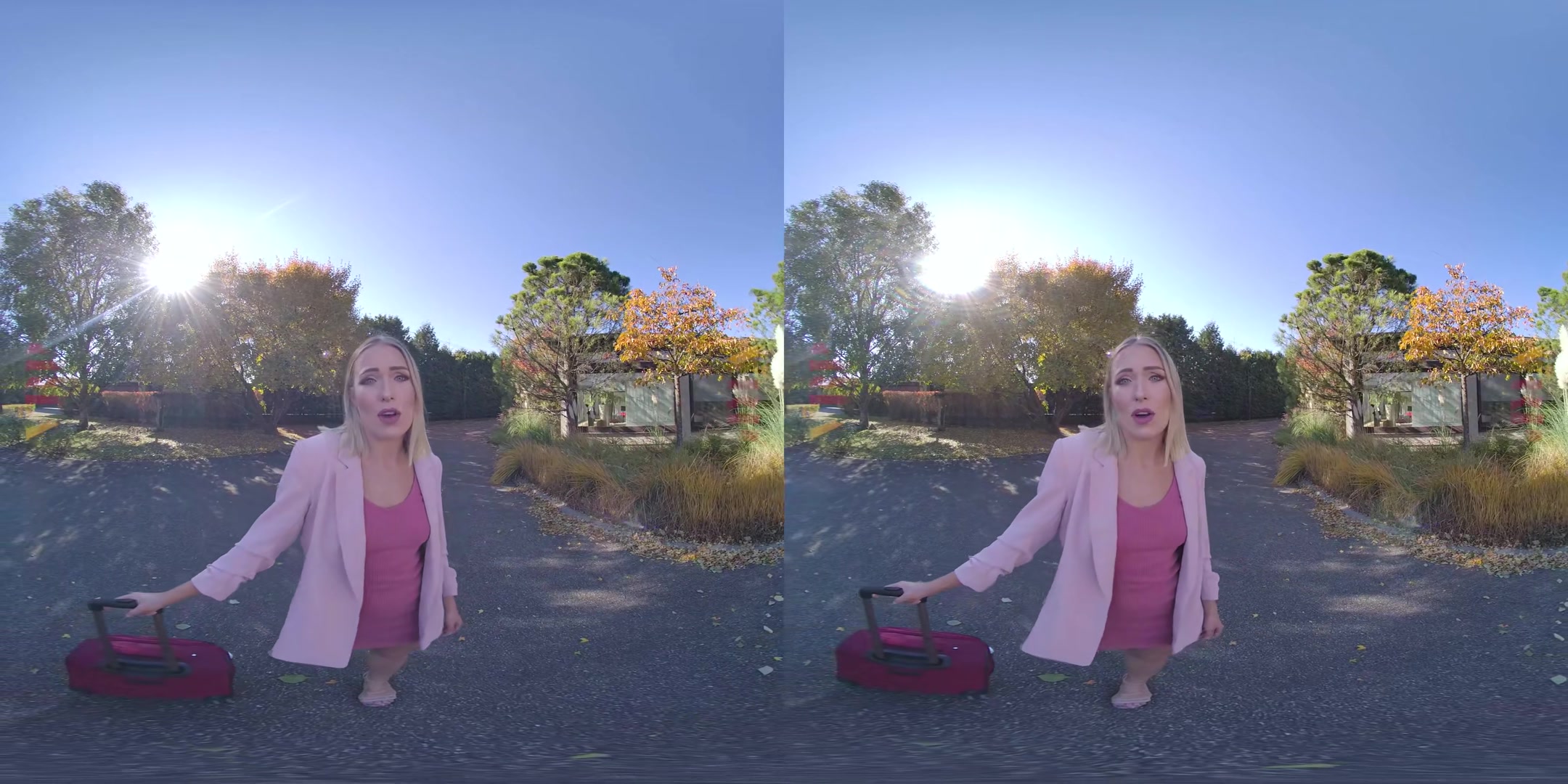 Anal-Ize This 2 - VRPFilms