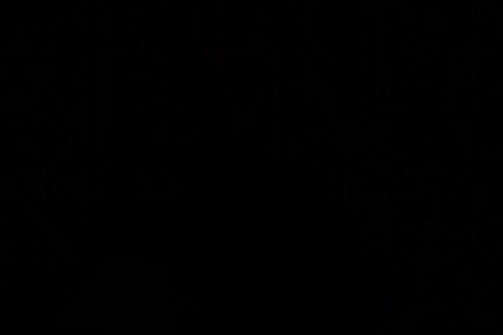 Japanese Amateur Movie