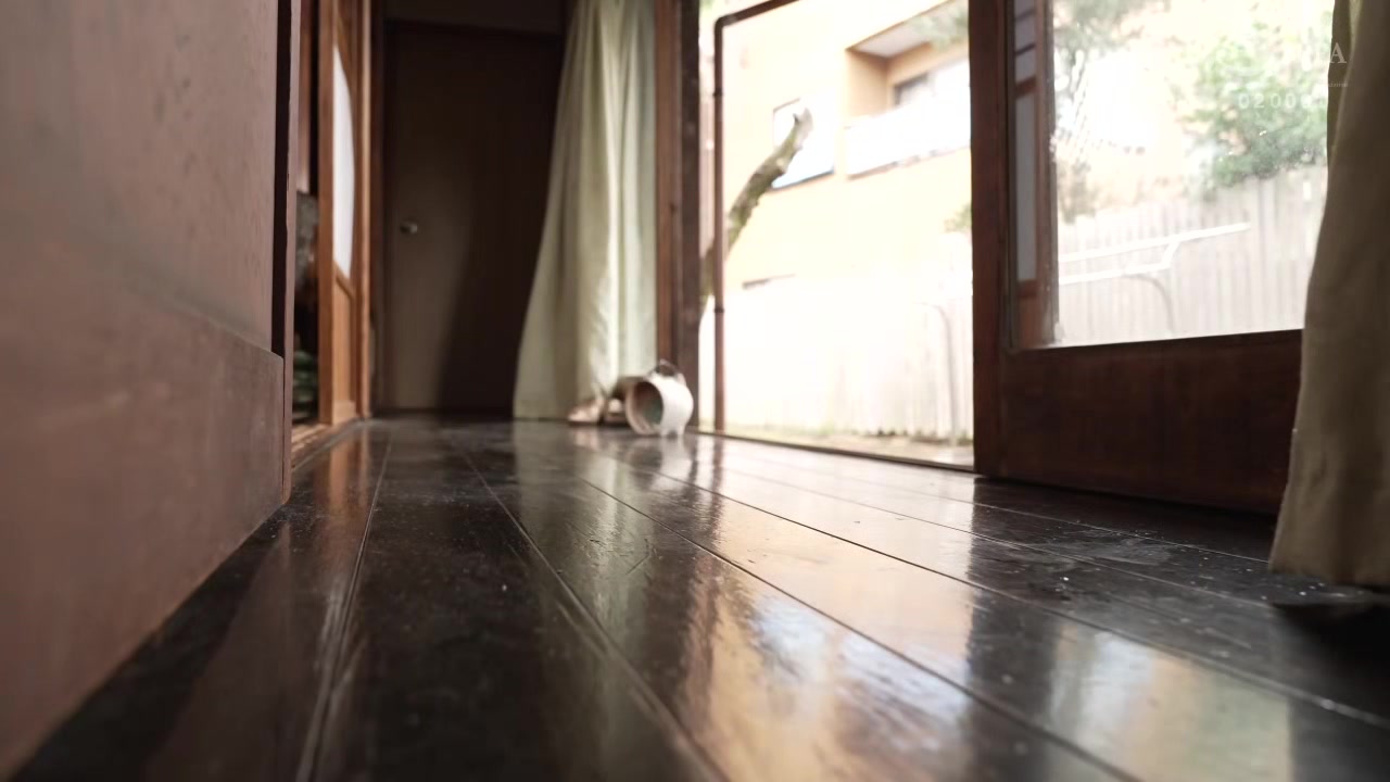 0011858_フェラ お掃除フェラ ベロキスなどが含まれている