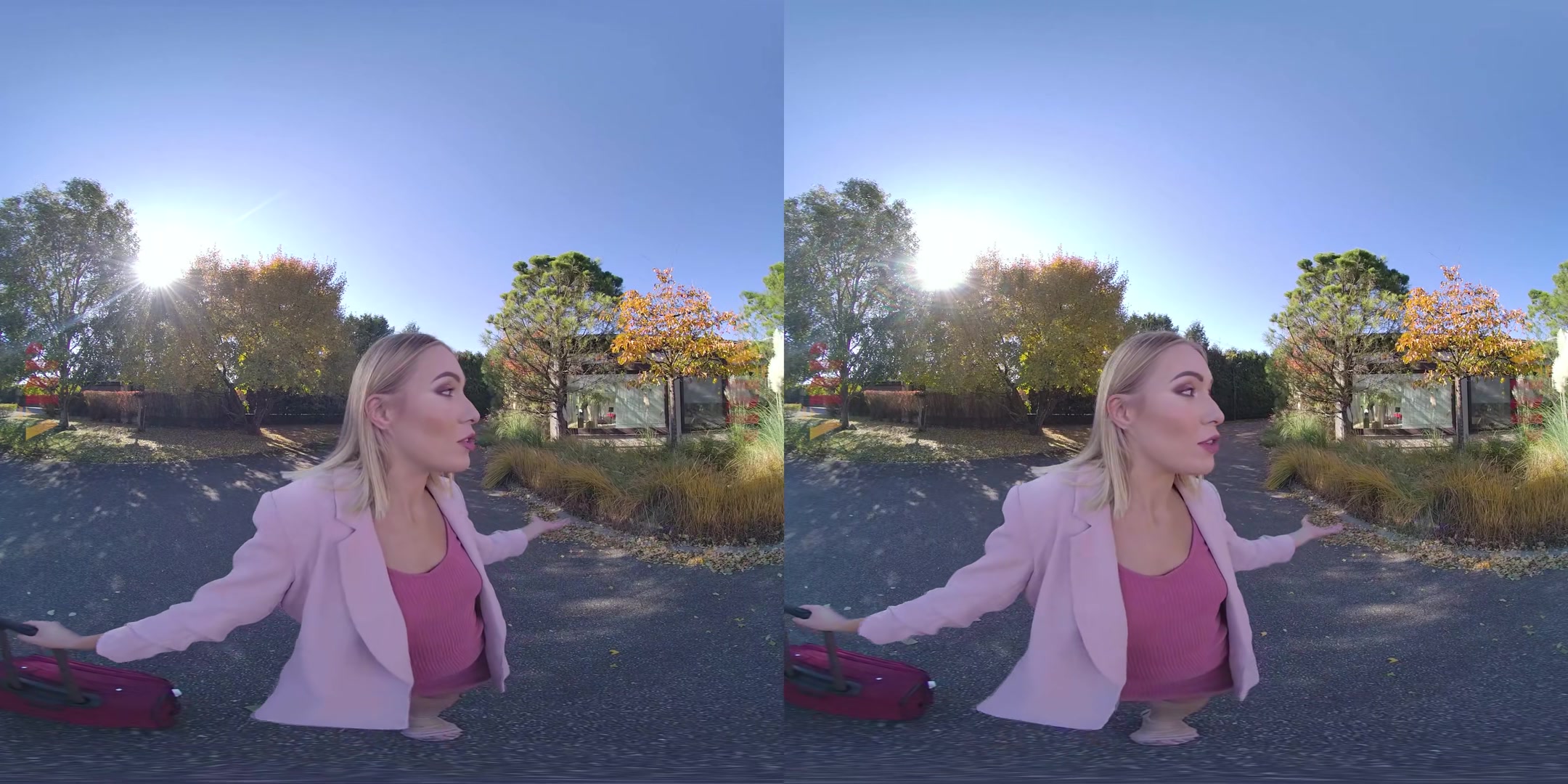 Anal-Ize This 2 - VRPFilms