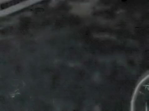 dong sucking transsexual Nicole