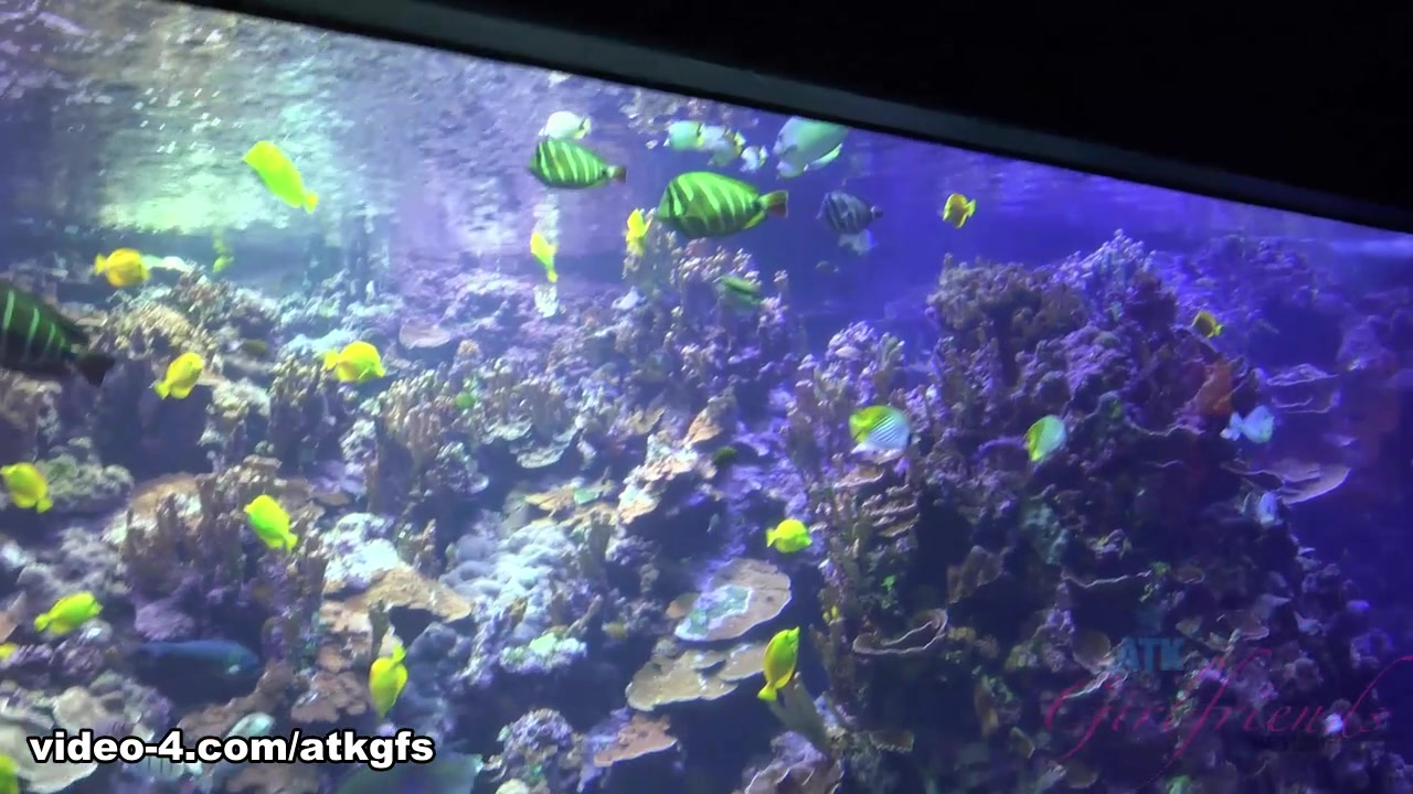 Emma Hix in Emma has lots of fun at the Maui Ocean Center - ATKGirlfriends