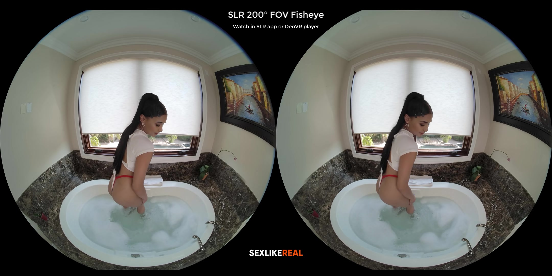 Raw Taboo, Wet Dreams - SLROriginals