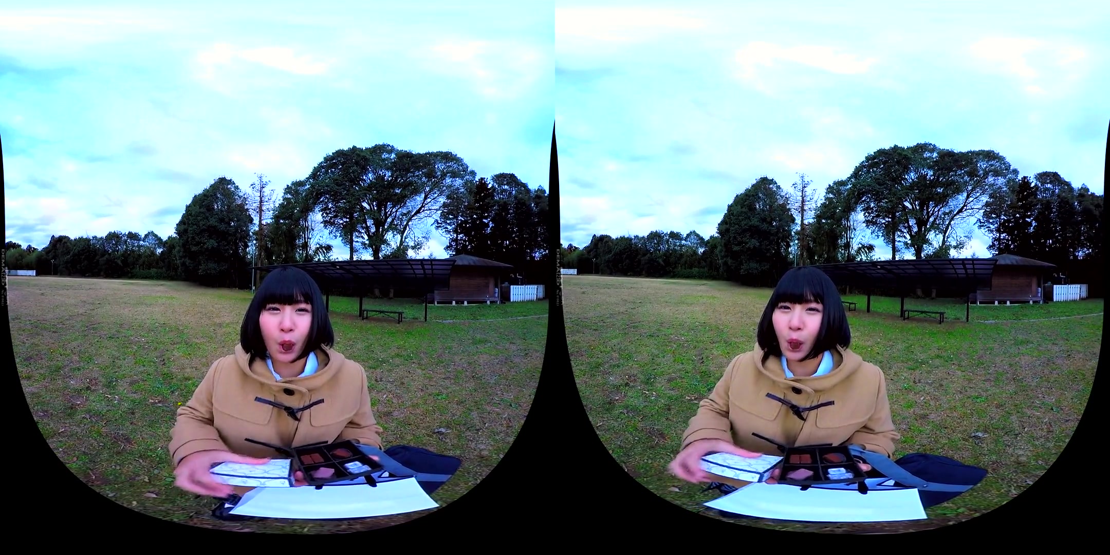 Valentine' Confession VR 2 - Softcore Non-Nude Compilation of Beautiful Japanese Girls Confessing Their Love For You