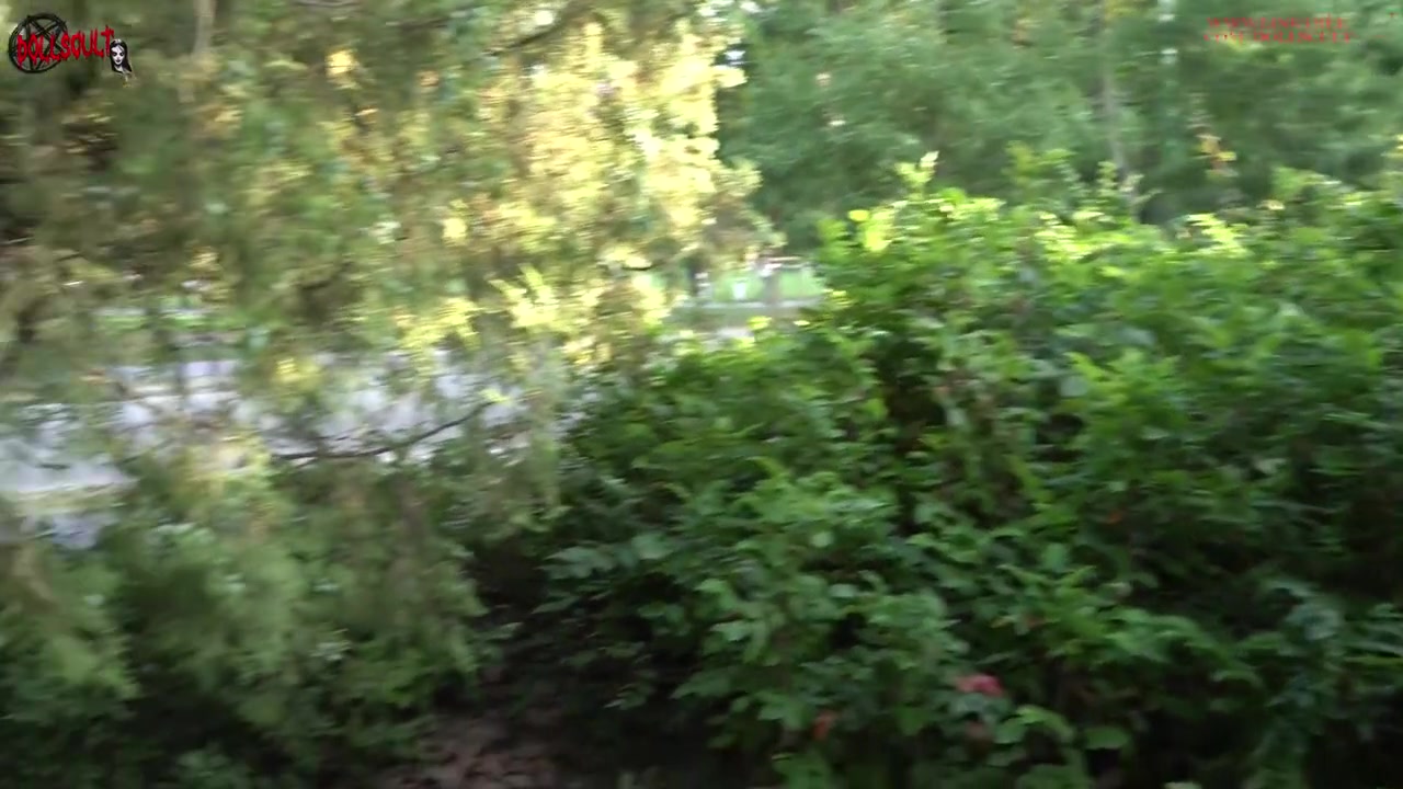 Public Blowjob In Front Of Passersby