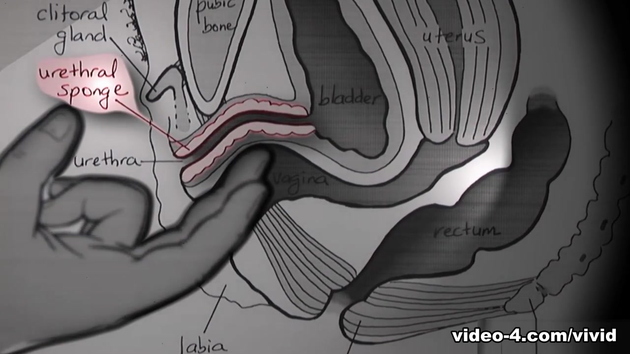 Vivid Video: Expert Guide to Female Orgasms - 1