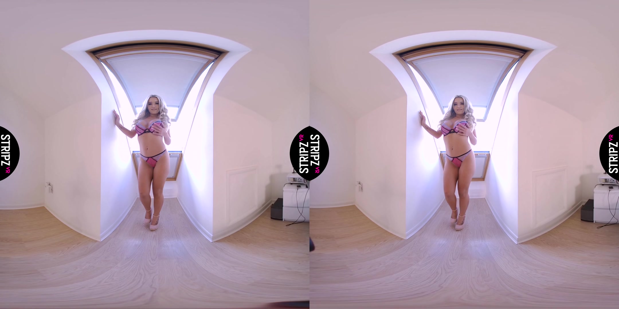 Room With a View - StripzVR