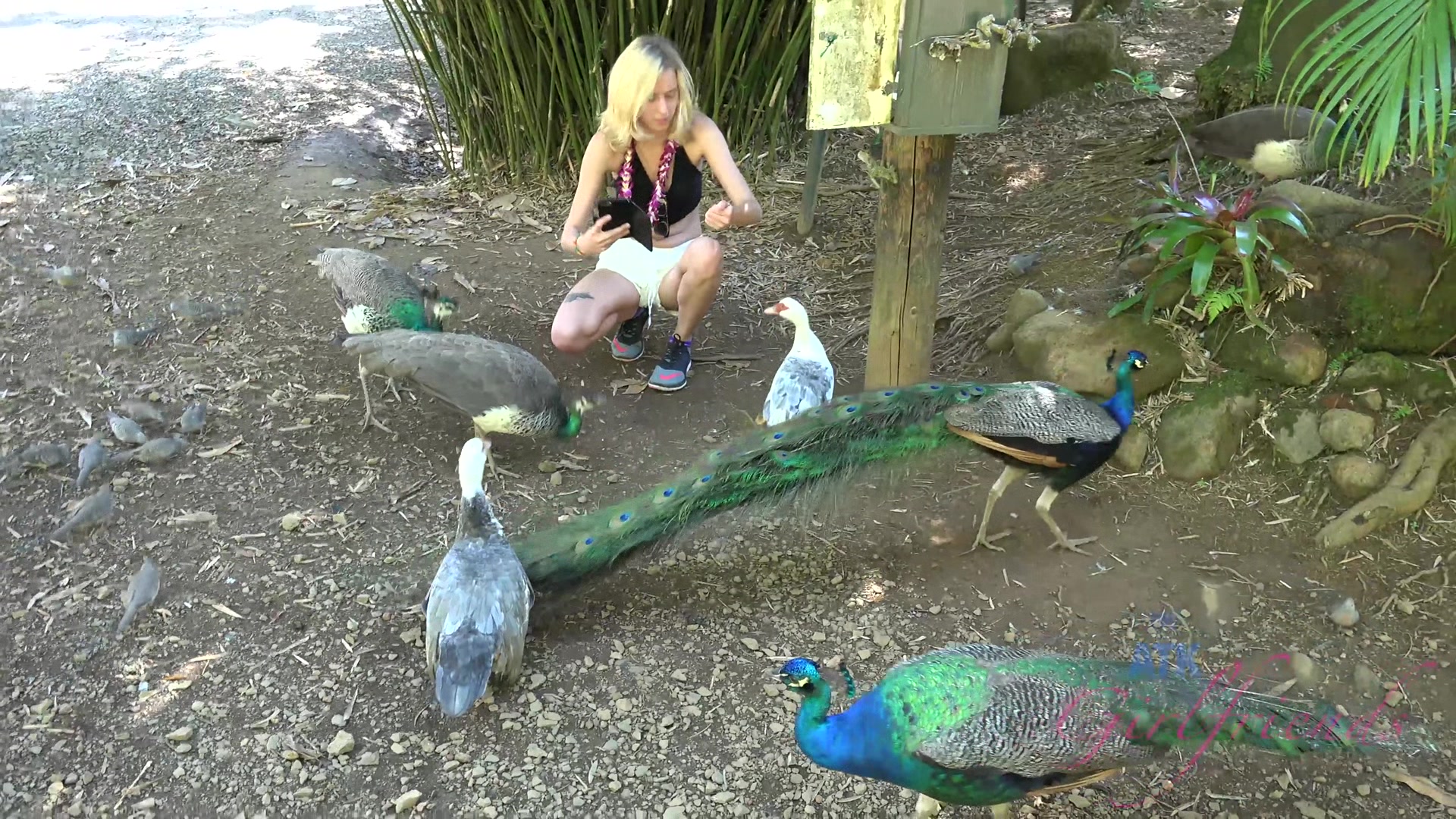 Virtual Vacation Hawaii With Haley Reed 7/7