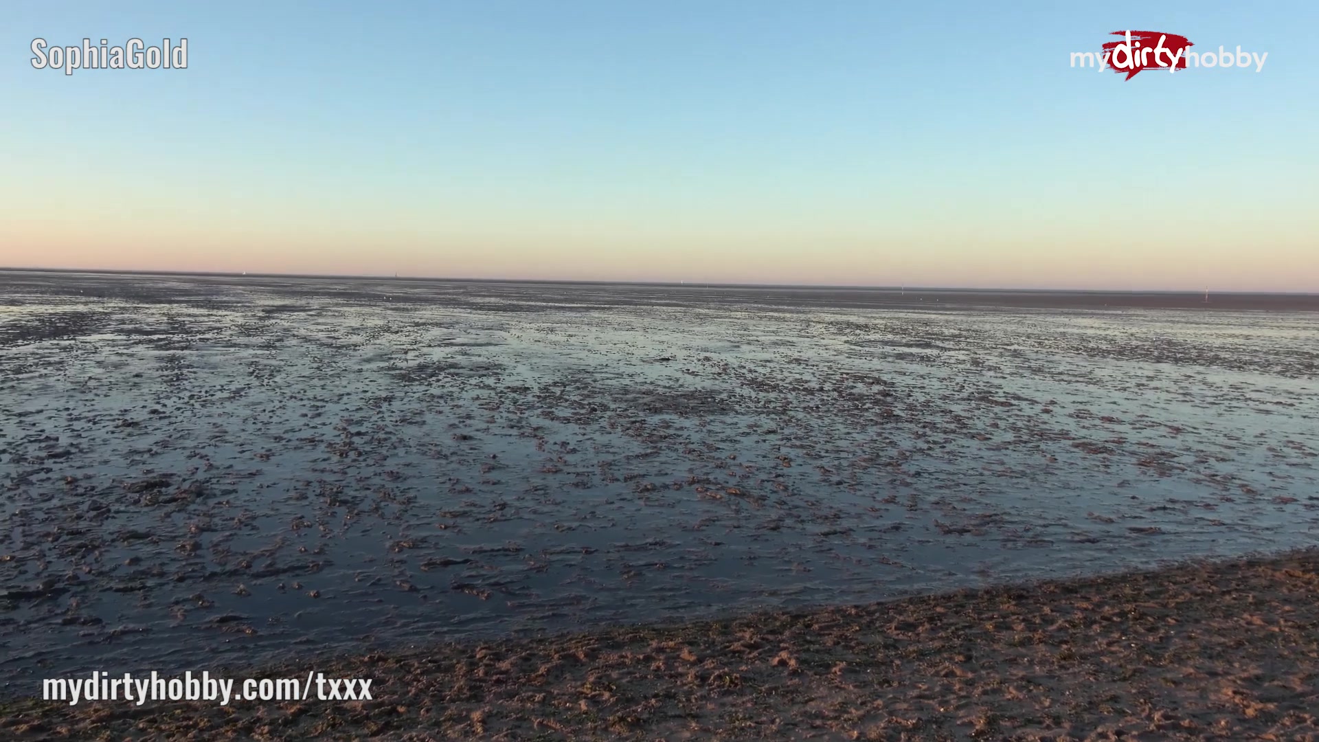 My Dirty Hobby - Hot public blowjob on the beach