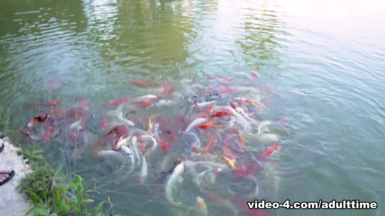 This Modern Mansion Lifestyle Feeding the Koi and Mr Turtle With Amiee Cambridge, Scene #01