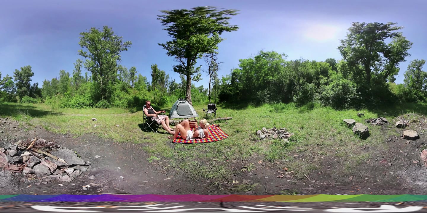 Covert Picnic