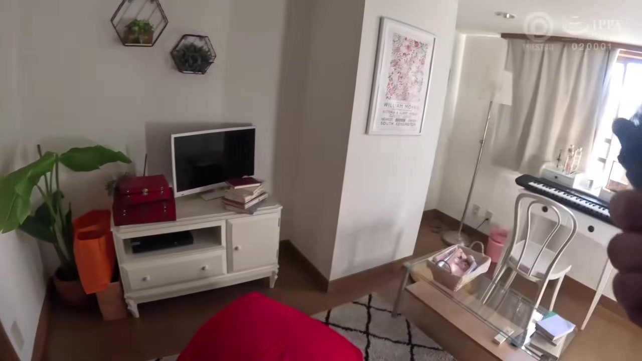 0012057_フェラ ベロチュウ ベロキスなどが含まれている