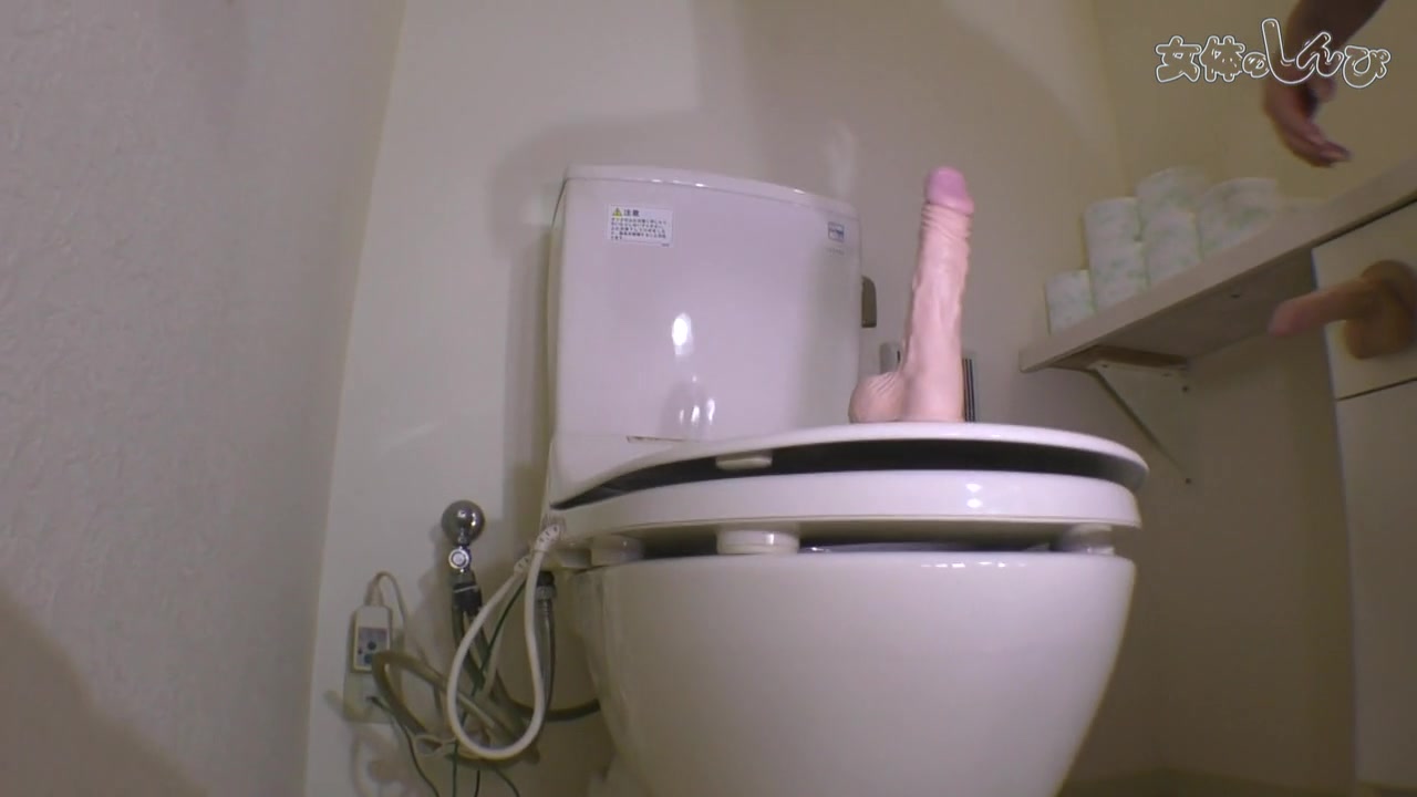 Penis house - Nyoshin