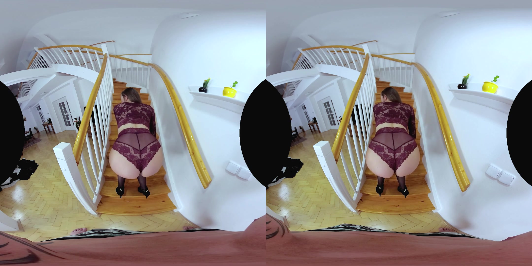 CzechVR 263 Professional Slut
