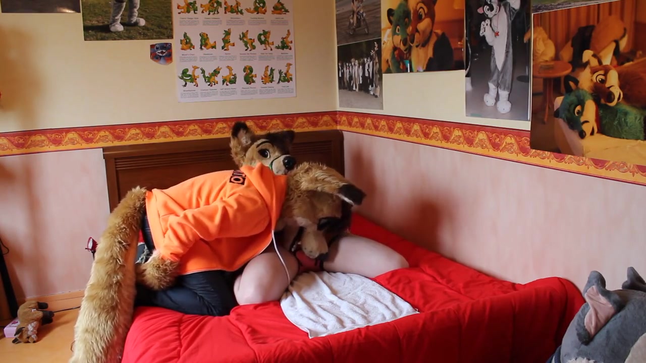 Tied Down Dingo Gets Overstimulated Hard