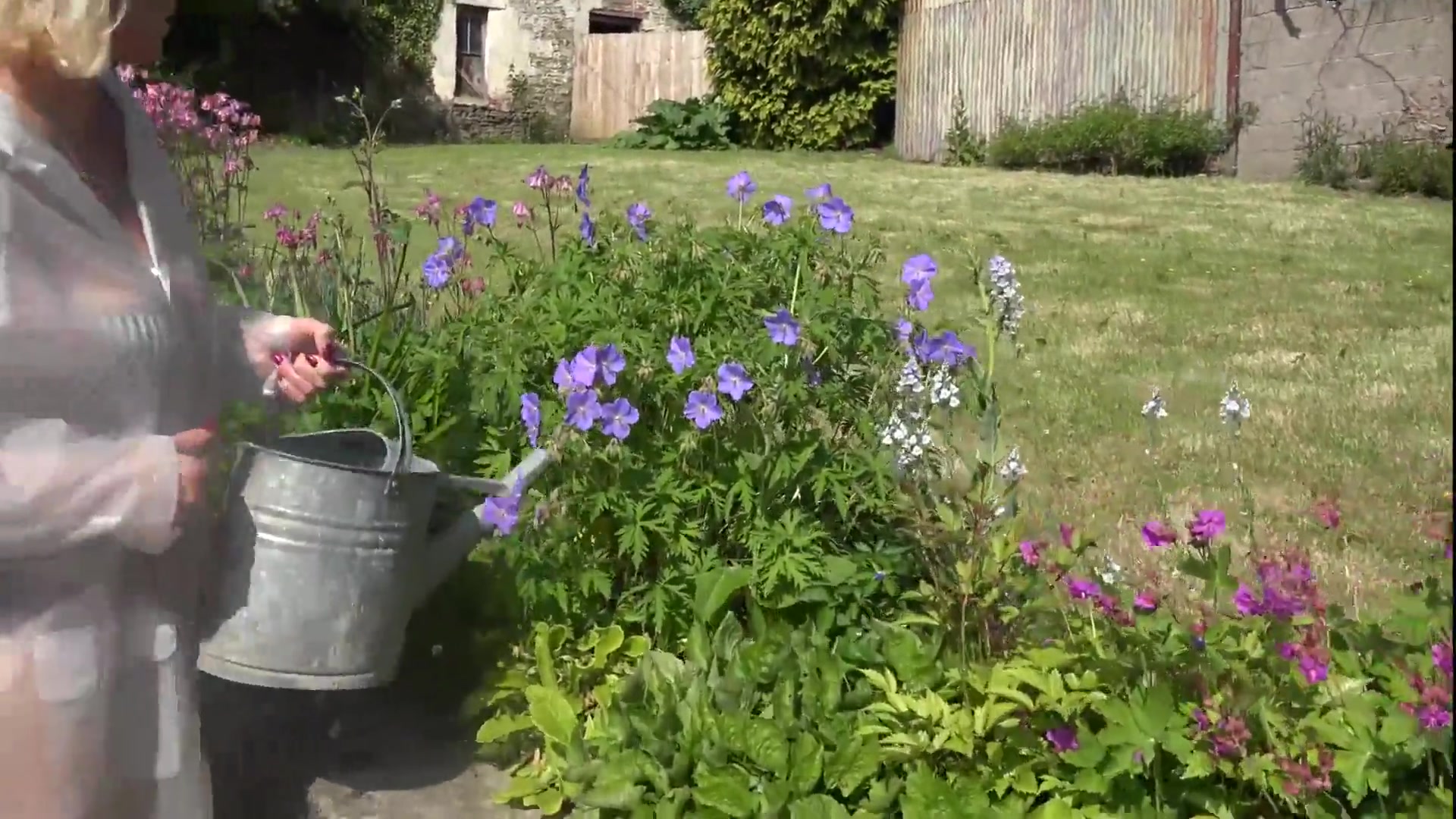 Watering My Plants Pt1 - TacAmateurs