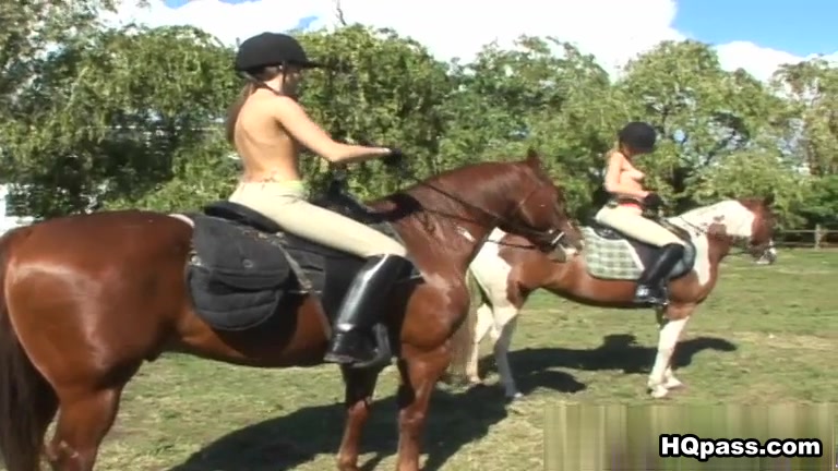 MoneyTalks - Dong riders
