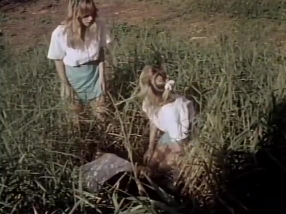 Ginger Lynn Allen, Lois Ayres, Bunny Bleu in vintage xxx scene
