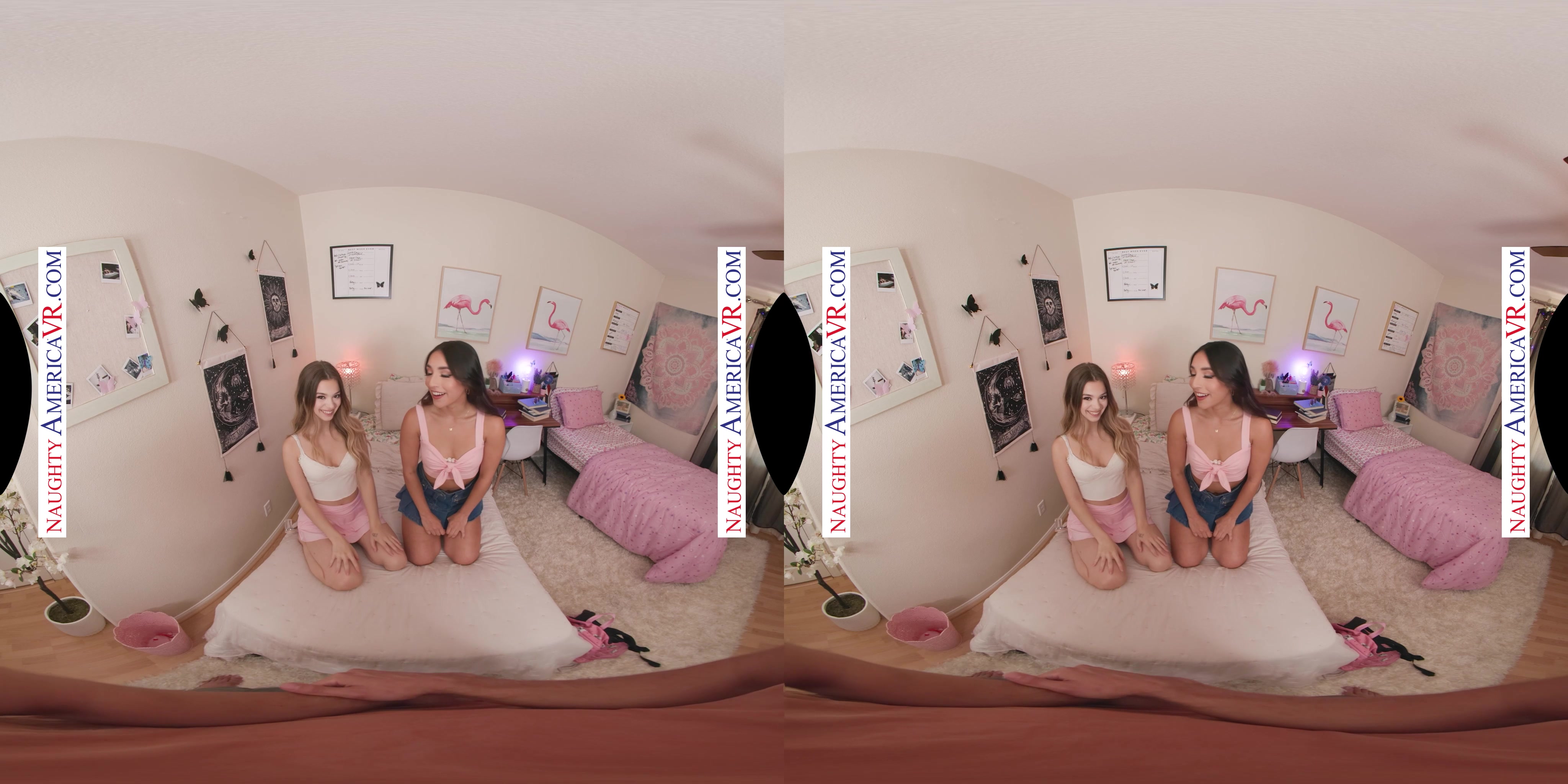 Naughty America Video