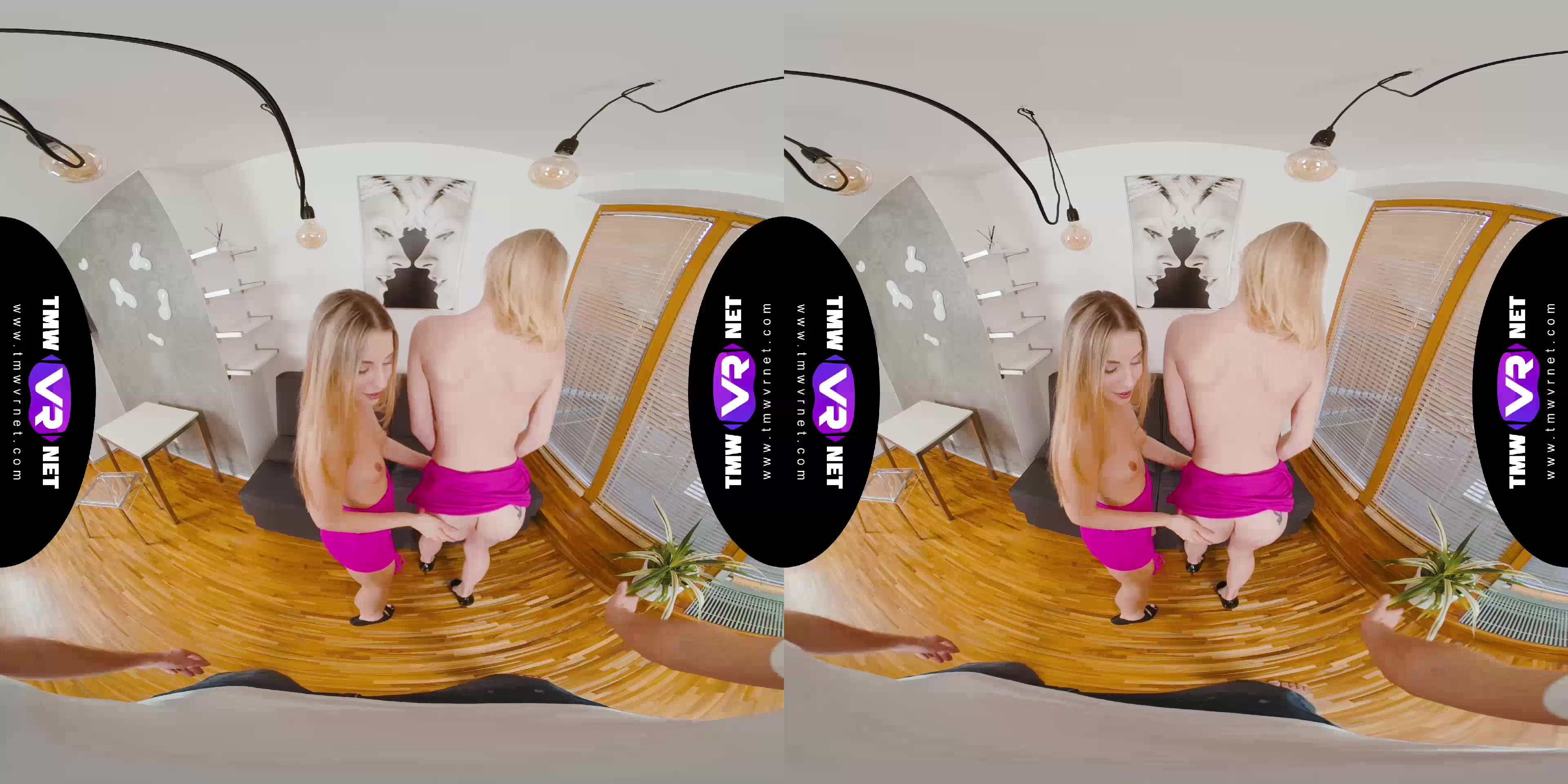 Desired orgy as a gift - TmwVRnet