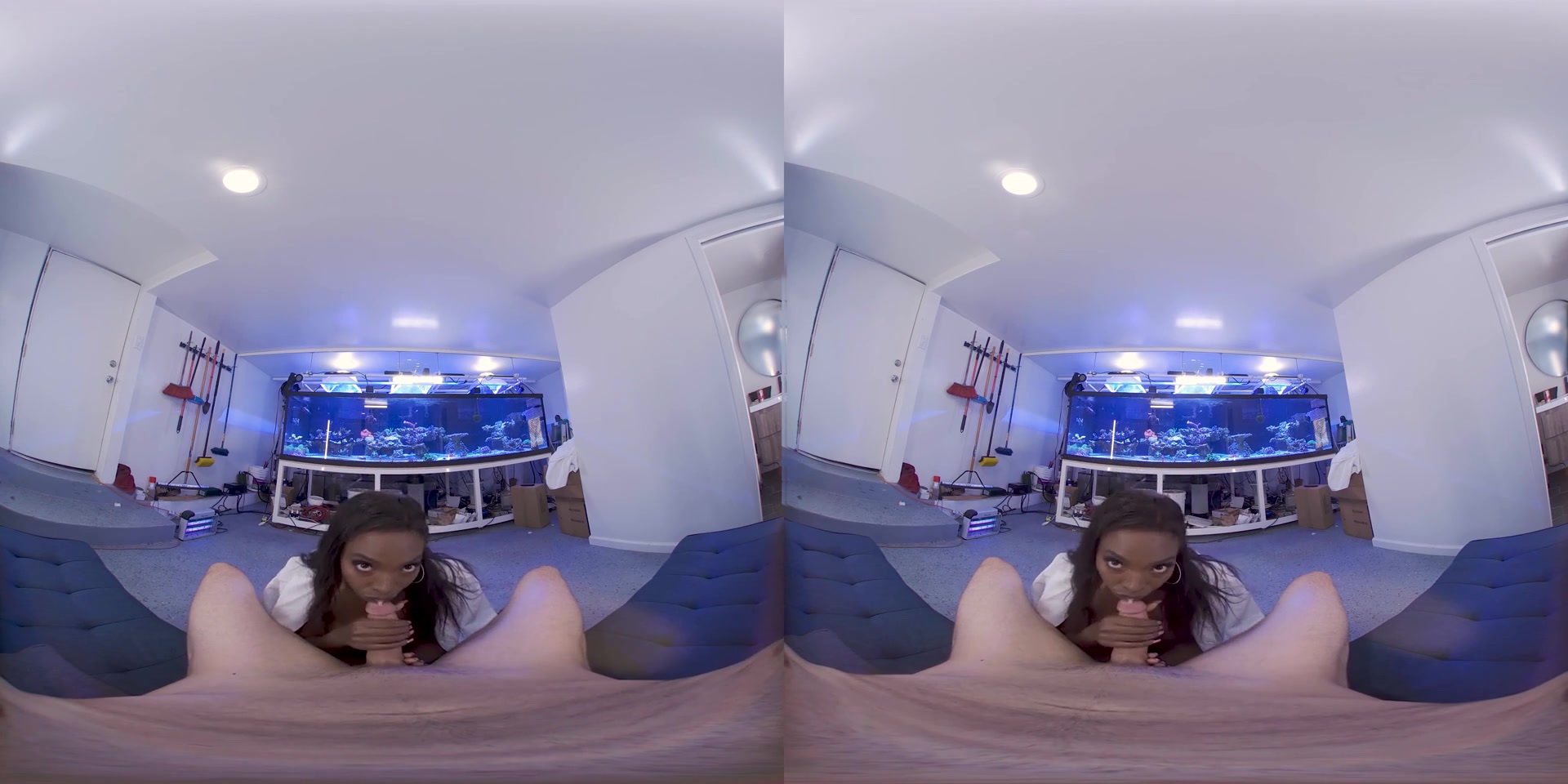 Daya Knight in My Little Green Secret VR Porn Video - VRBangers