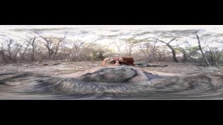VR BANGERS-Anya Olsen&Courtney Taylor fucking in the WOODS