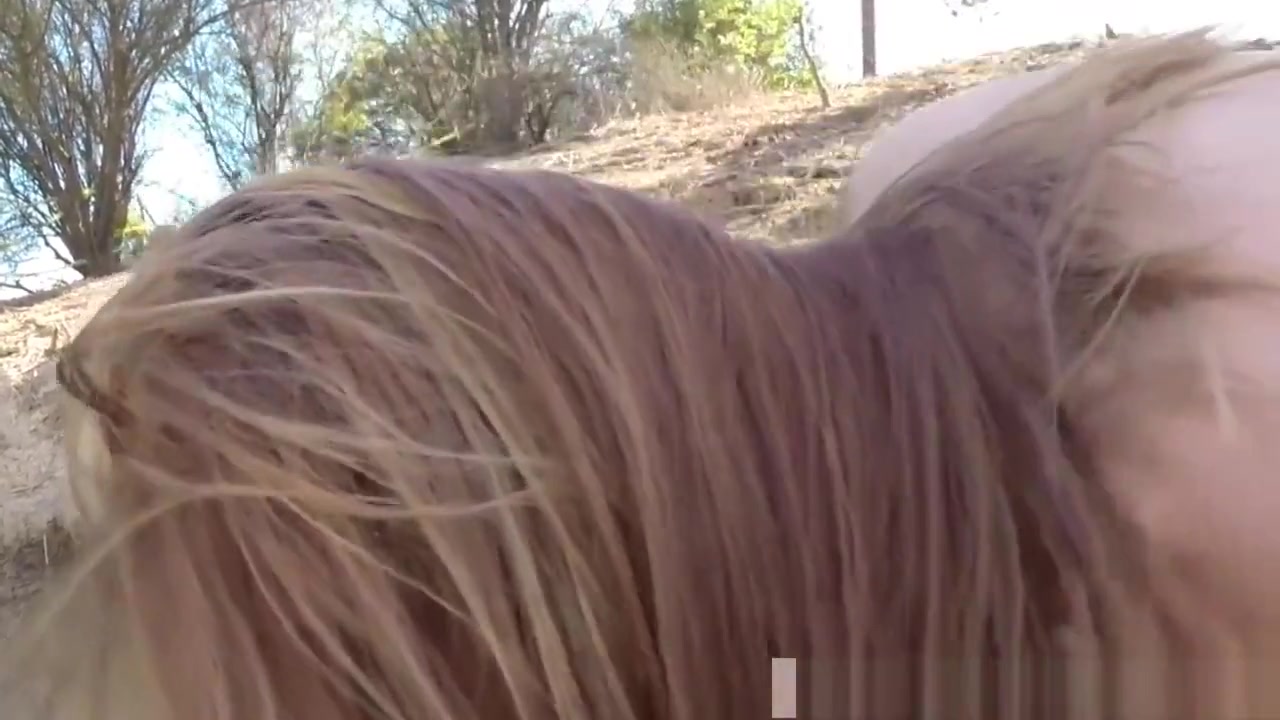 Fake Cop Blowjob Xxx Border Hopping Redhead Loves Cock
