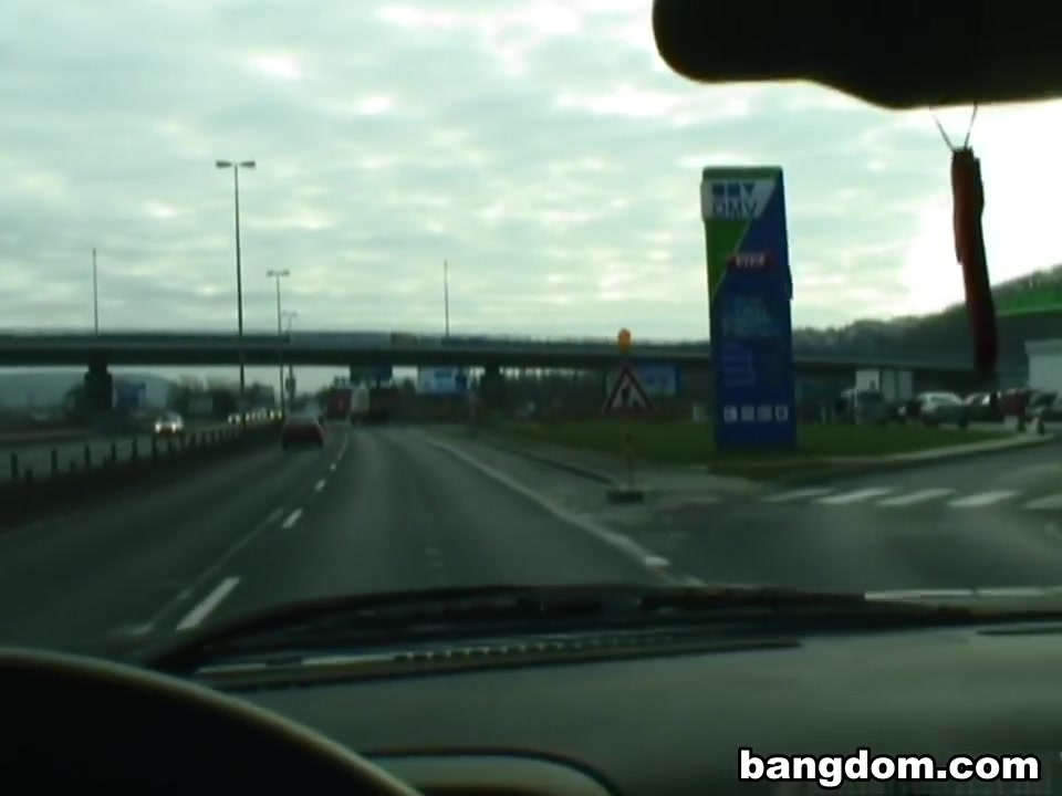 Roadside Doggy