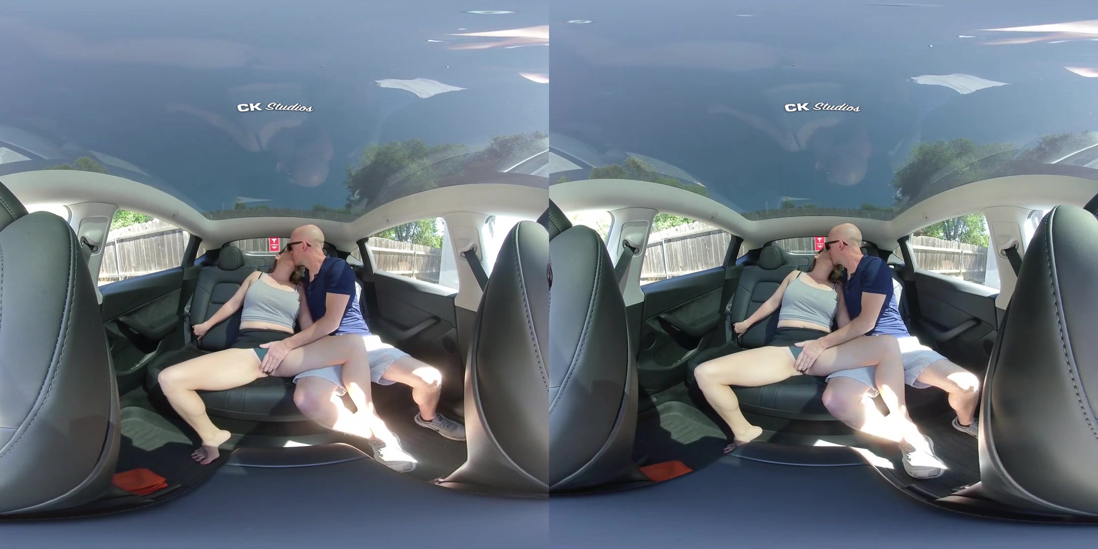 Sex in the Back Seat NO AUDIO