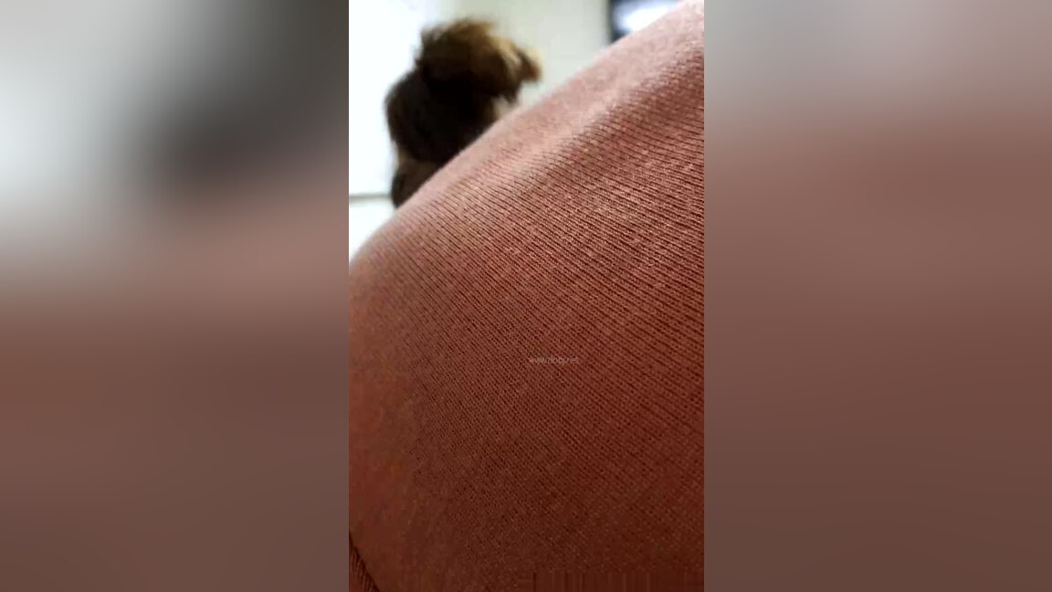 Busan girl sucking and riding her boyfriend