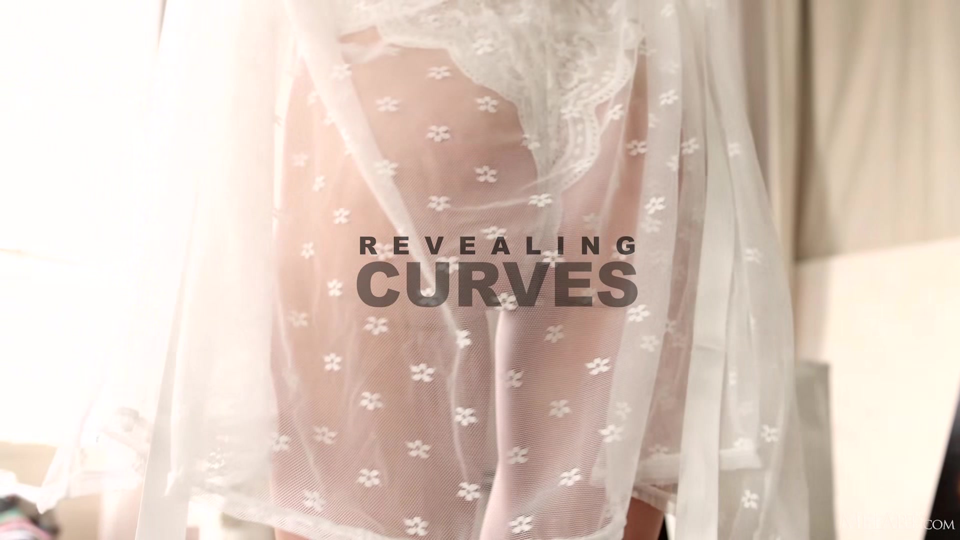 Revealing Curves - Lareina Tay