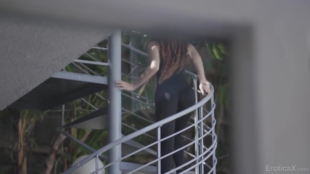 Cat Burglar - Cecilia Lion
