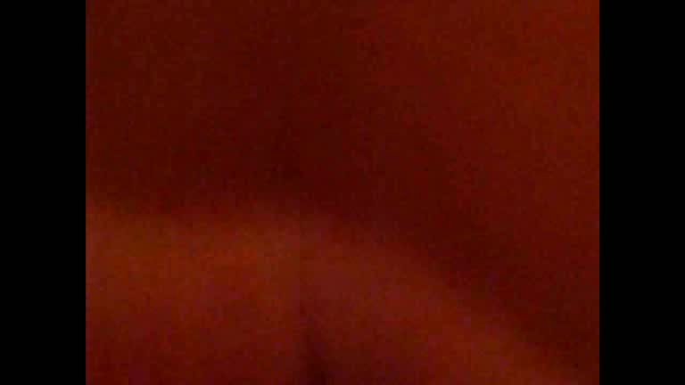 Hairy dick enters hairy pussy in the amateur video