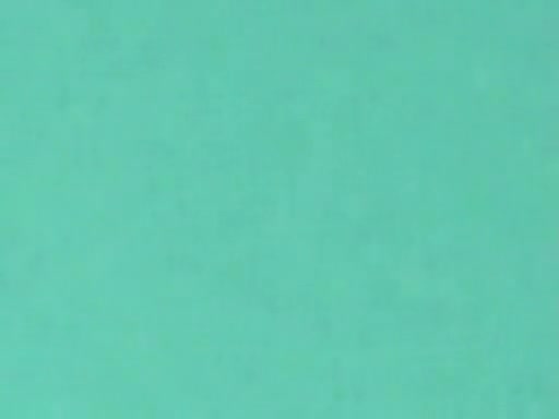 Clip During The Time That A
