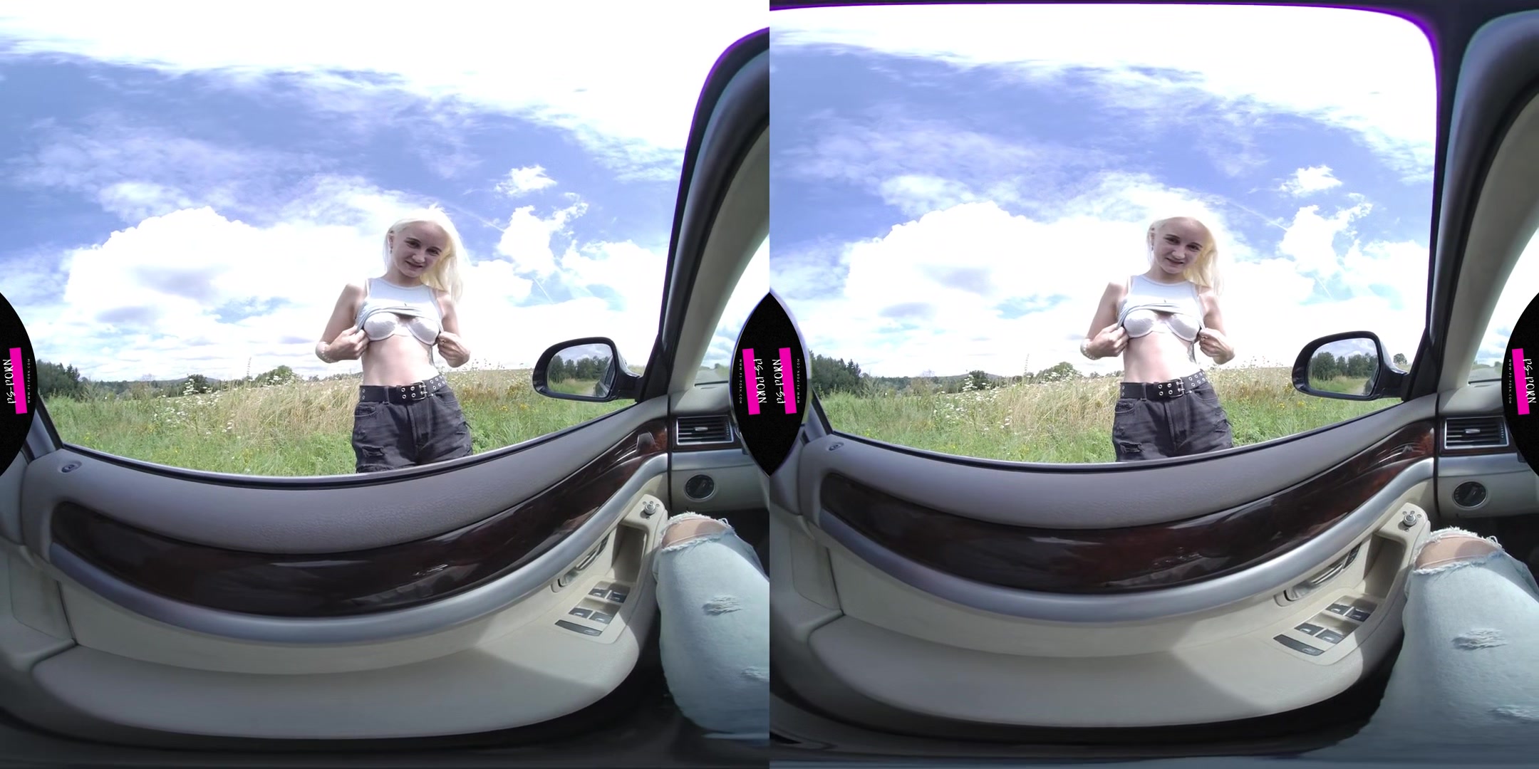 Sex In The Car And Nature With Daruma