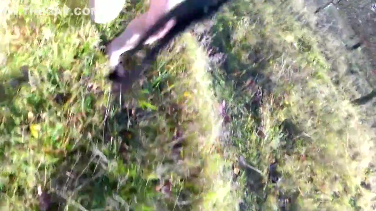 Streaking In Muddy Land And A Forest Seen By Cyclists