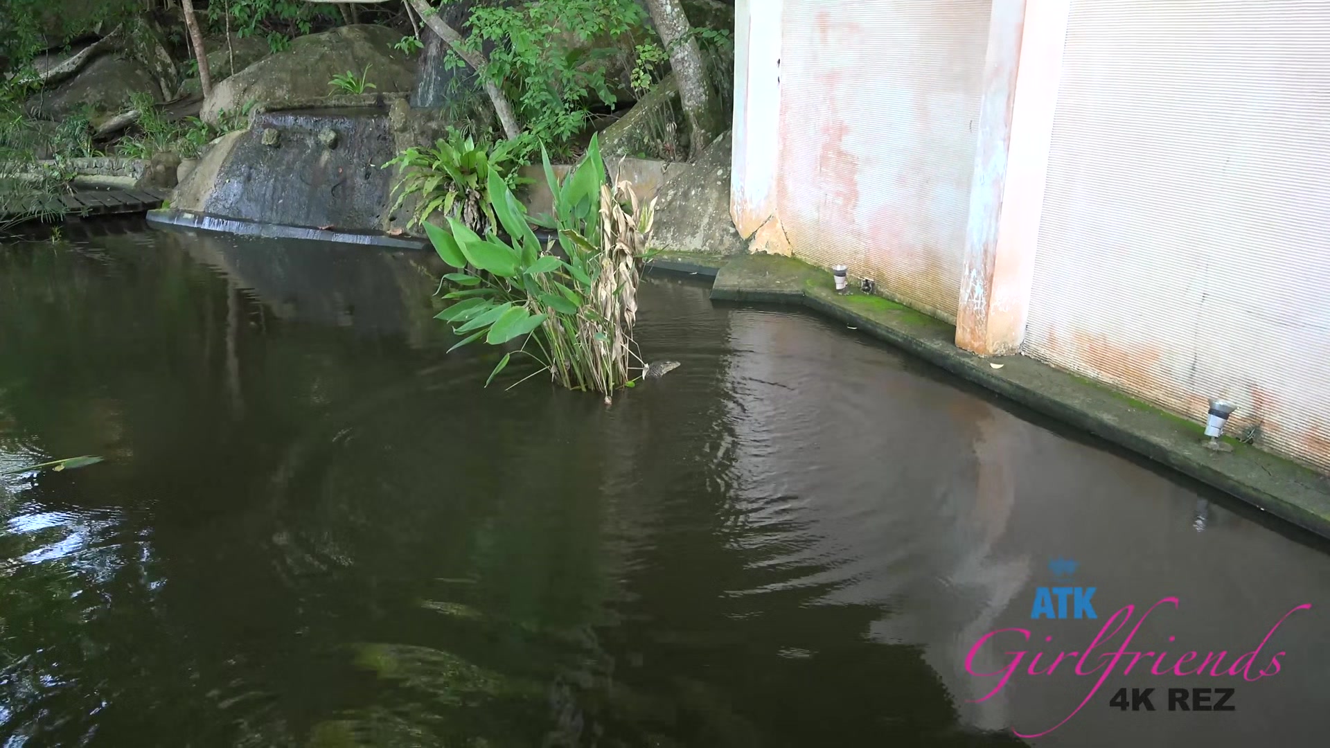 Virtual Vacation Tioman Island Elena Koshka 6/6