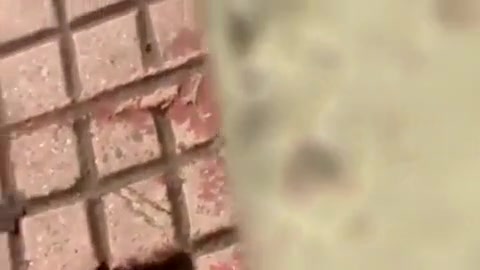 Surat pair underneath bridge sex free porn pictures