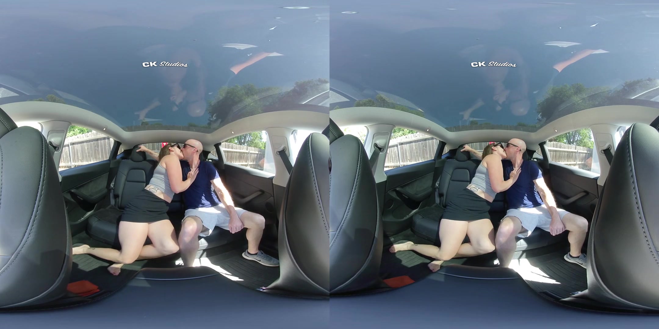 Sex in the Back Seat NO AUDIO