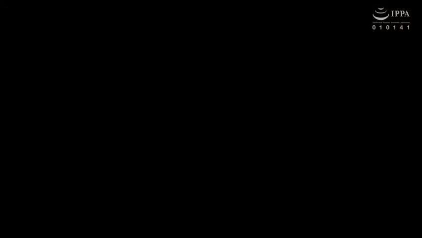 AUJ737-PIDPEMXXJV776082345