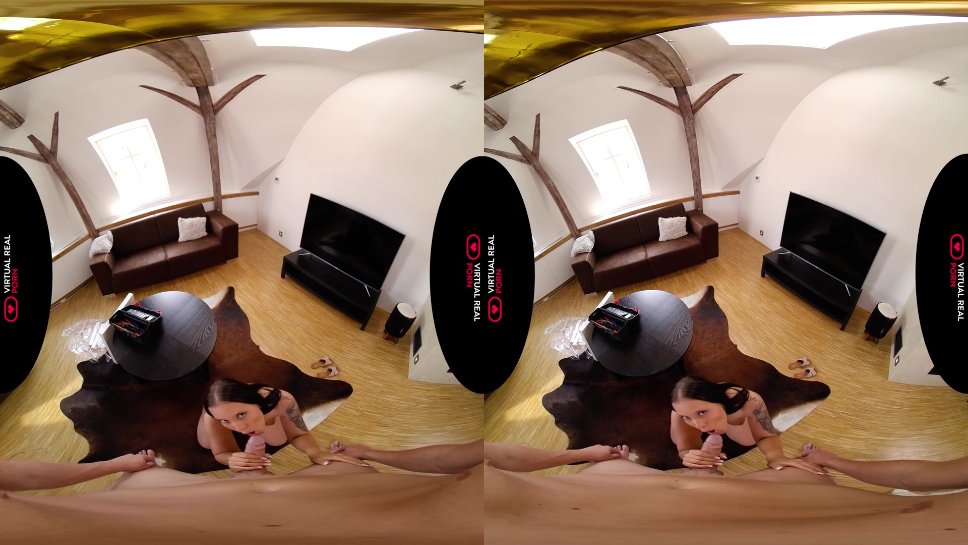 The Art of Seduction - VirtualRealPorn