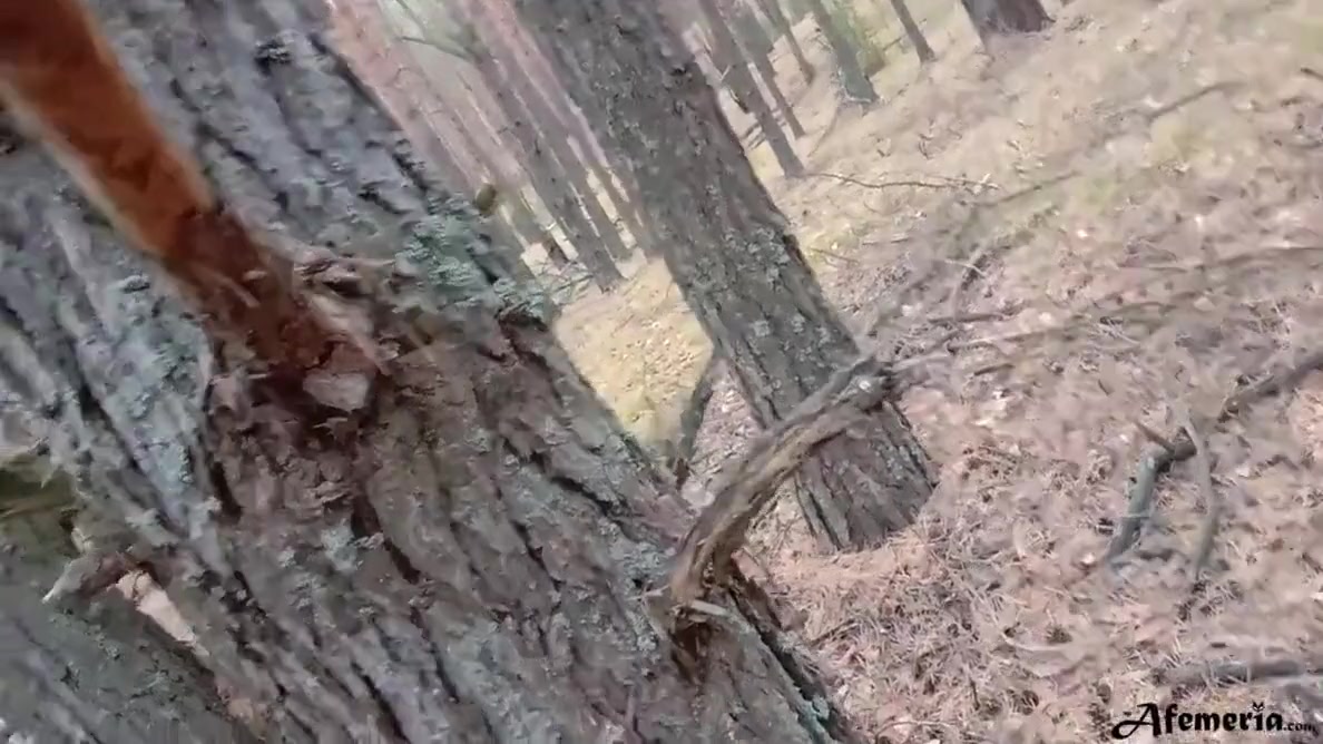Horny Babe Caught In The Forest And Doggystyle Fucked