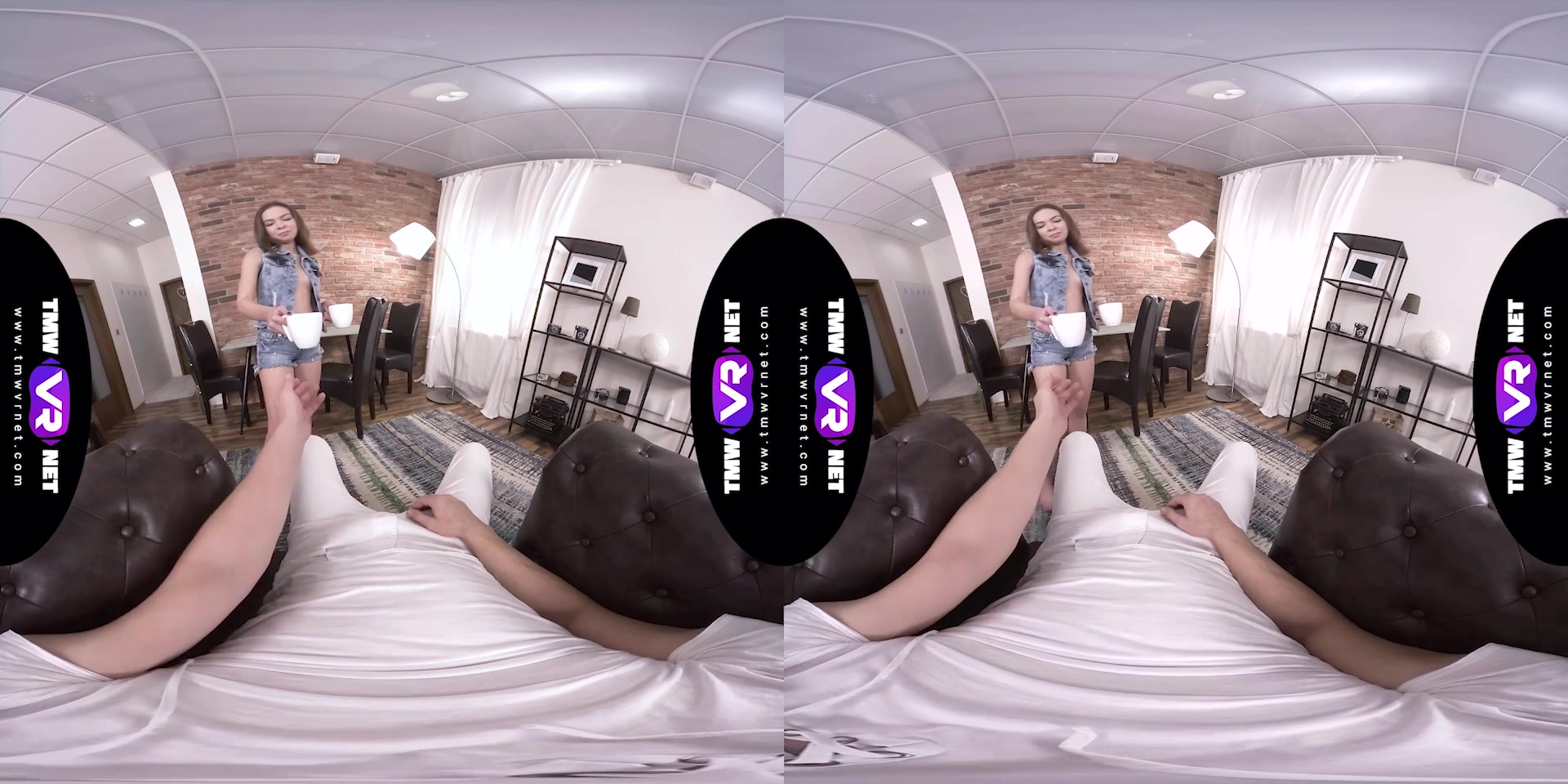 Dick and pussy collide in armchair - TmwVRnet