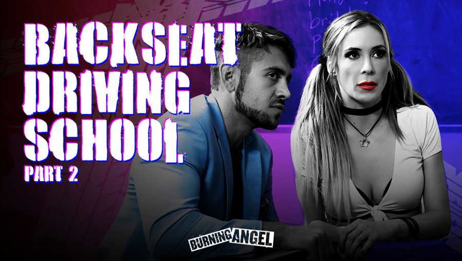 BackSeat Driving School - 2