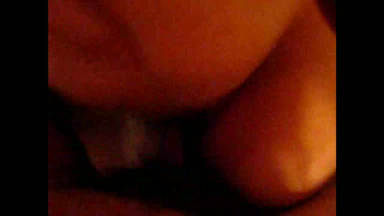 Hairy dick enters hairy pussy in the amateur video